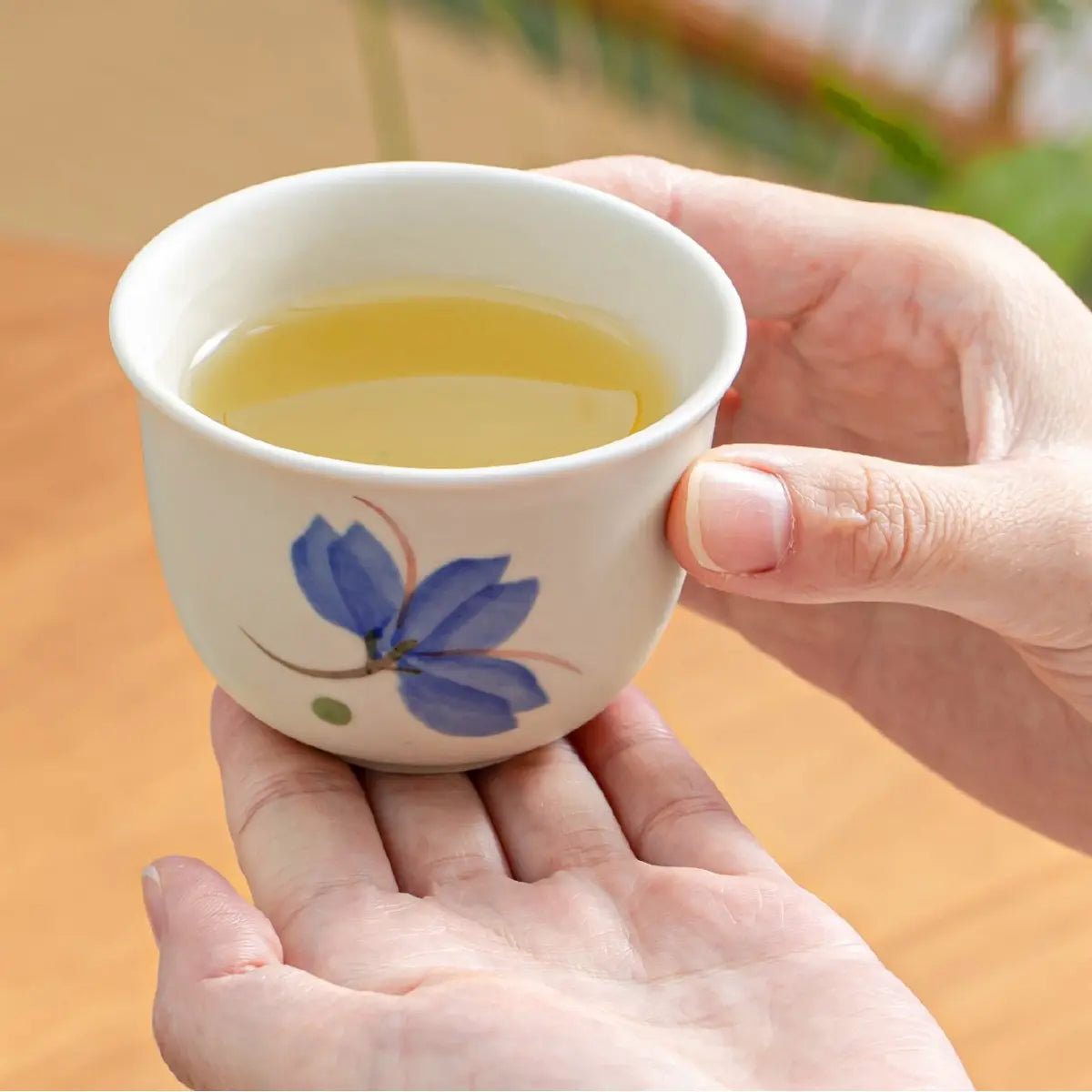 Service à thé japonais Kyusu – théière à poignée latérale et 4 tasses
